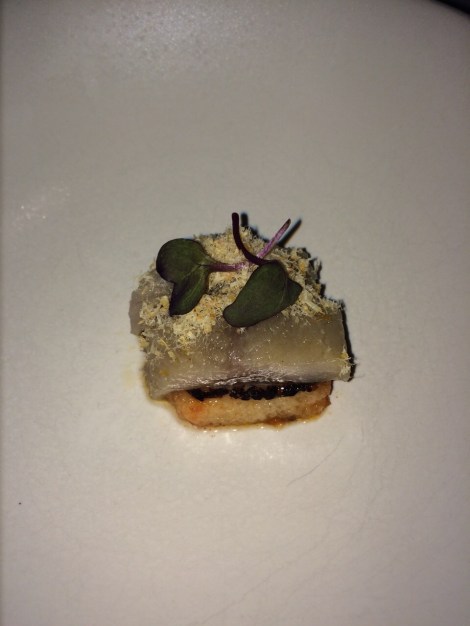 Lúa 02 30-enero-2015